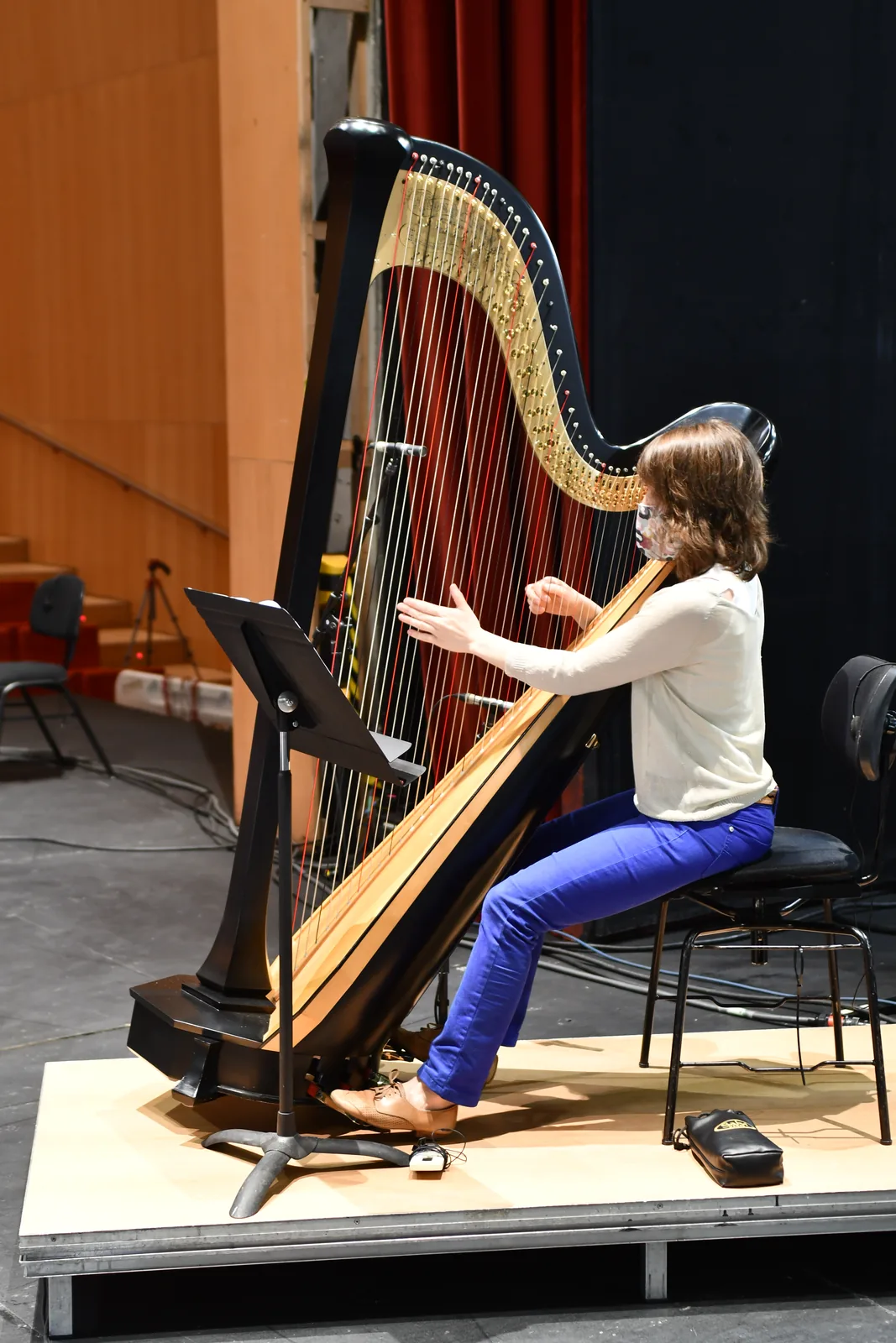 Arpista en concierto en Madrid