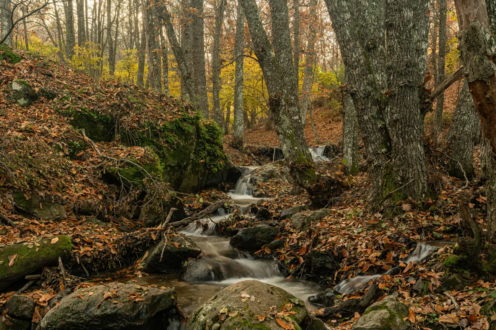 Fotografía de viajes — Roberto Romero Photography
