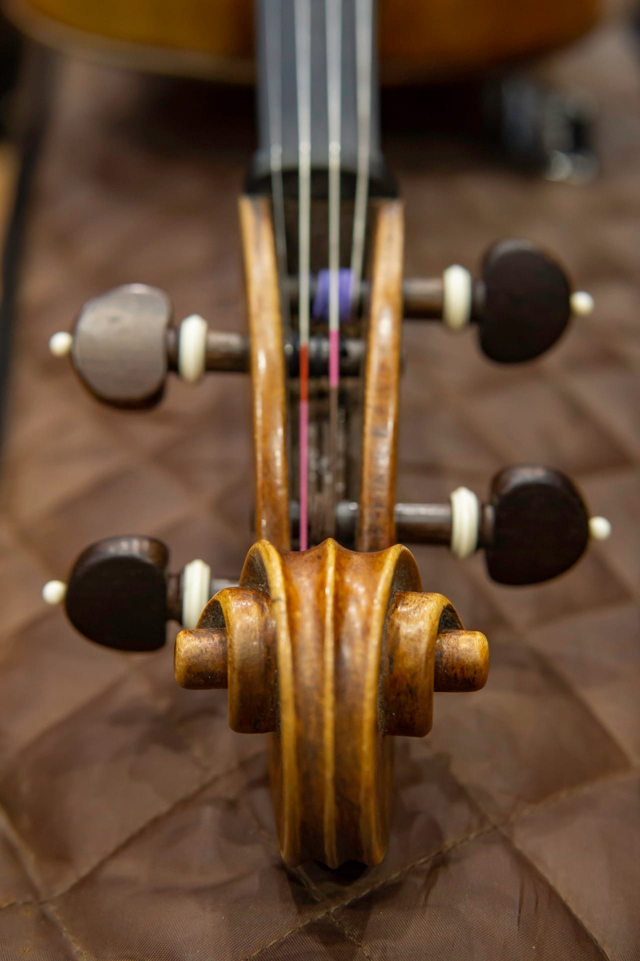 Detalle de mástil de violín — fotografía artística